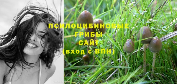 mix Гусев