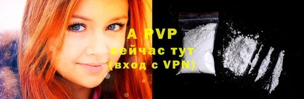 сатива Гусь-Хрустальный