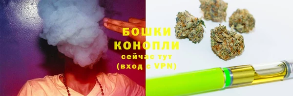 mix Гусев