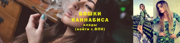 сатива Гусь-Хрустальный