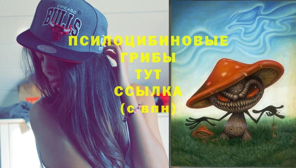 mix Гусев