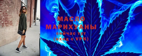 гидра Горняк