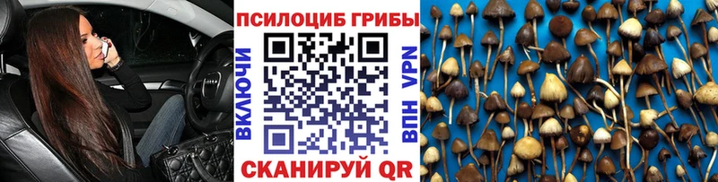 наркотики  Железноводск  Псилоцибиновые грибы прущие грибы 